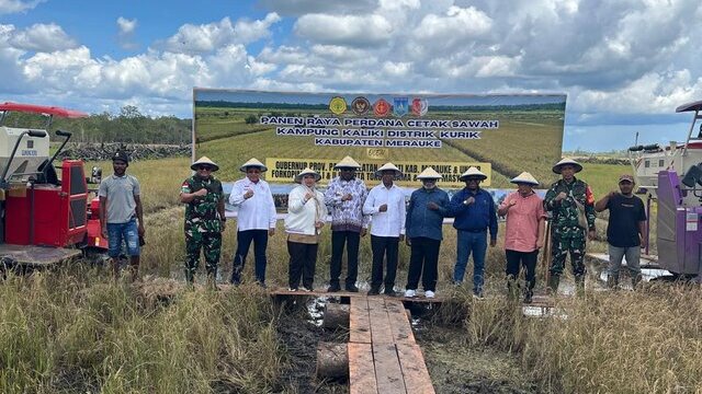 Panen Perdana Cetak Sawah Kampung Kaliki Dengan Mekanisasi Penuh, Harapan Kesejahteraan Rakyat Merauke