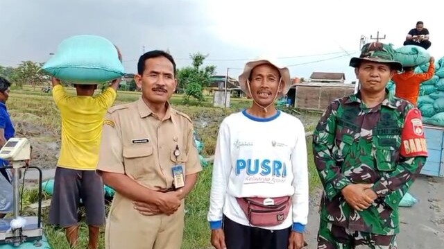 Apresiasi Kebijakan Pemerintah, Harga Gabah Saat Panen Raya Buat Petani Full Senyum