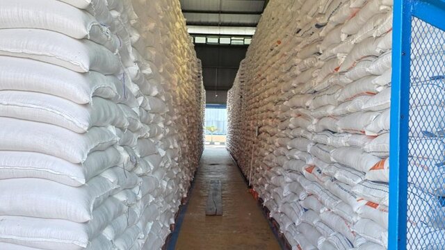 Stok Cadangan Beras Pemerintah Tembus 3,7 Juta Ton, Indonesia Terdepan di ASEAN dalam Produksi Beras