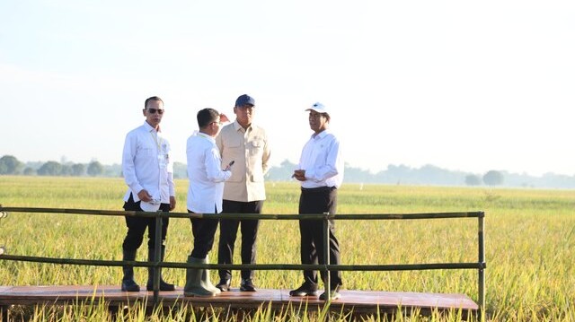 Stok Cadangan Beras Pemerintah Capai 4 Juta Ton, Indonesia Siap Perkuat Posisi di Pangan Global