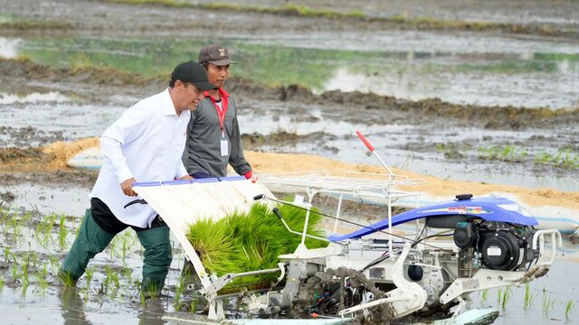 Rice Transplanter: Inovasi untuk Efisiensi dan Produktivitas Pertanian Padi
