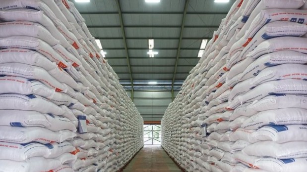 Produksi Beras Nasional Januari-Agustus 2025 Capai 29,97 Juta Ton, Naik 14,09 Persen