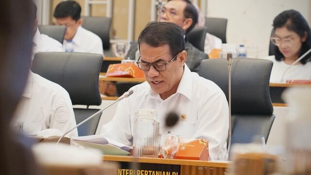 Stok Beras Tertinggi, Mentan Amran Banjir Apresiasi dari Komisi IV DPR RI