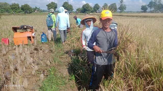 70% Pemberitaan Tempo Negatif terhadap Kementan, Pengamat: Fakta Cukup untuk Pidana, Tapi Gugatan Perdata Paling Tepat