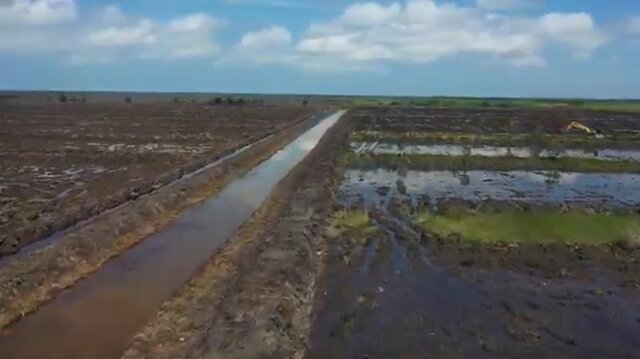 Kementan Perkuat Mekanisasi Pertanian, Sawah Baru Di Tanah Laut Siap Dongkrak Produksi Padi Kalsel