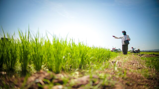 Setahun Pemerintahan Prabowo, DPR Sebut Kebijakan Pangan Arahnya Tepat Sejahterakan Petani
