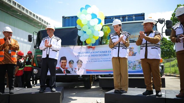 Kelapa Maluku Utara Tembus Tiongkok, Hilirisasi Dongkrak Ekonomi Petani