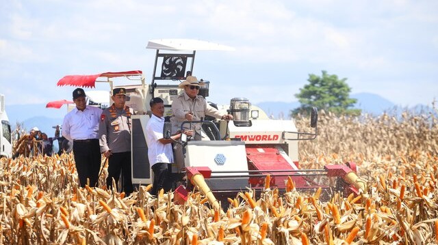 Produksi Jagung Nasional Meningkat 9,34 Persen Sepanjang 2025