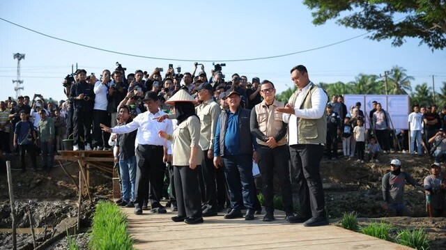 Kementan Alokasikan Rp336 Miliar untuk Rehabilitasi Sawah Terdampak Banjir di Sumatera