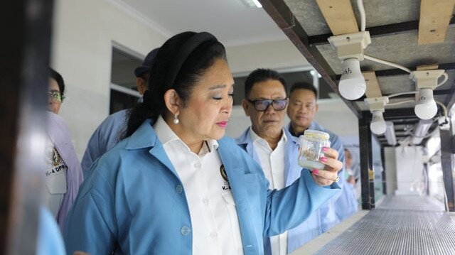 Kementan Perkuat Perbenihan Bawang Putih, DPR RI Dukung Peningkatan Produksi Dalam Negeri