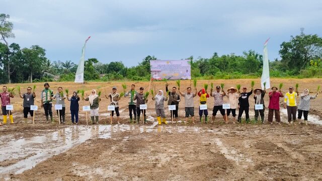 Tanam Serempak Digelar, Kementan Percepat Optimalisasi Lahan CSR