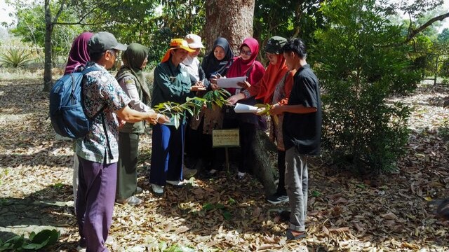 Kementan Gelar Bimtek Dorong Percepatan Pendaftaran Varietas Durian Lokal Bangka Belitung